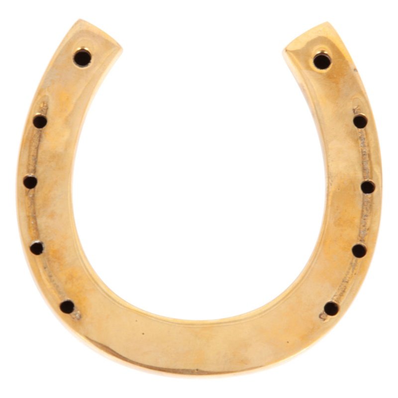 Custom Brass Lucky Horseshoe for Wedding Gifts